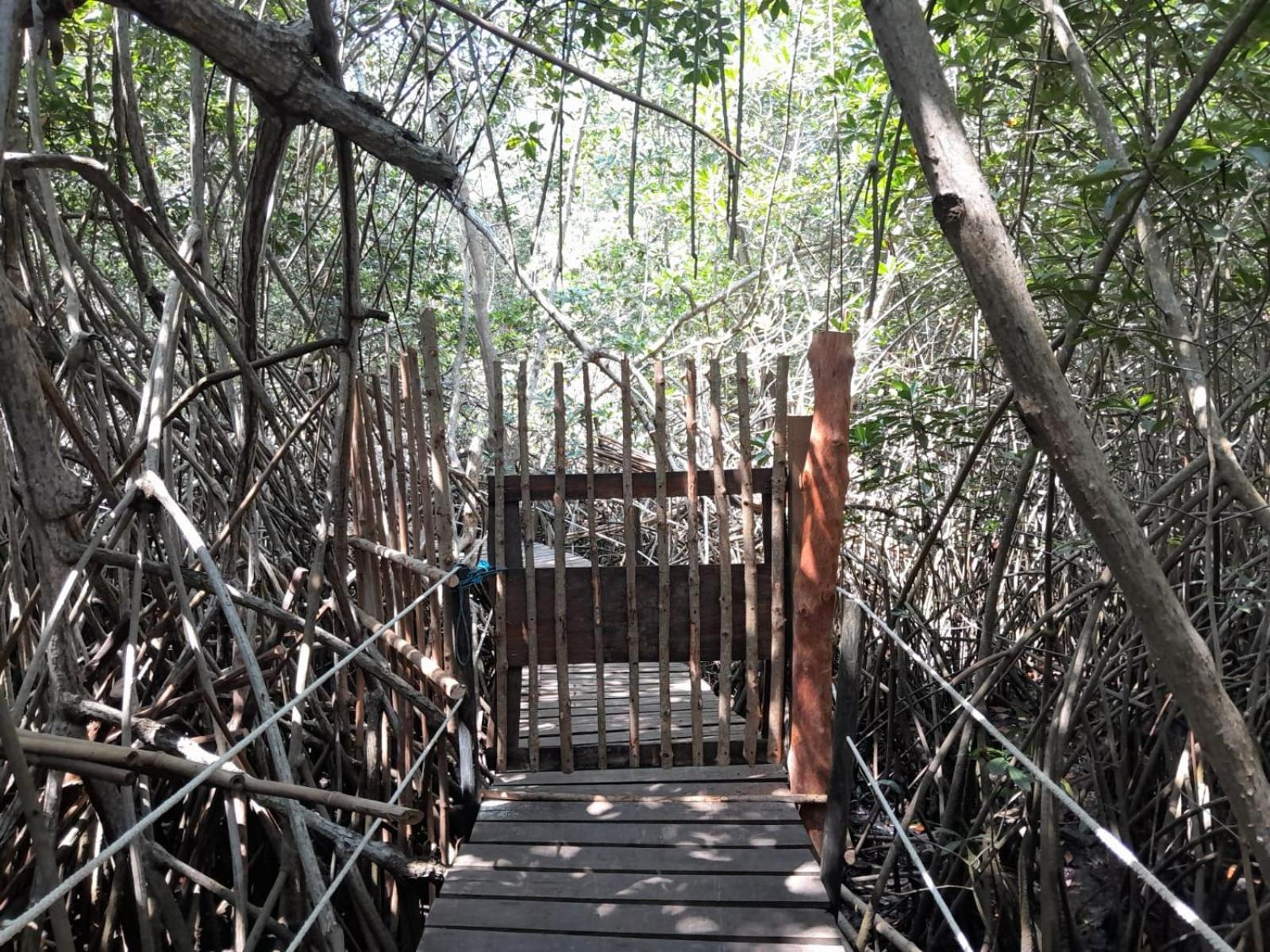 El Puente Hotel El Paredon Buena Vista Ngoại thất bức ảnh